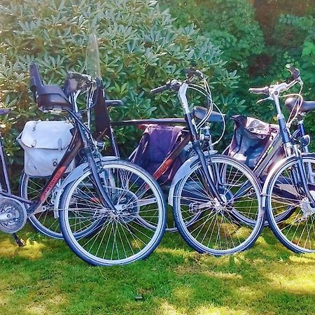 Vakantiehuis Hollum Ameland Dichtbij Strand En Met Ruime Tuin - Ameland39 Nl Kültér fotó